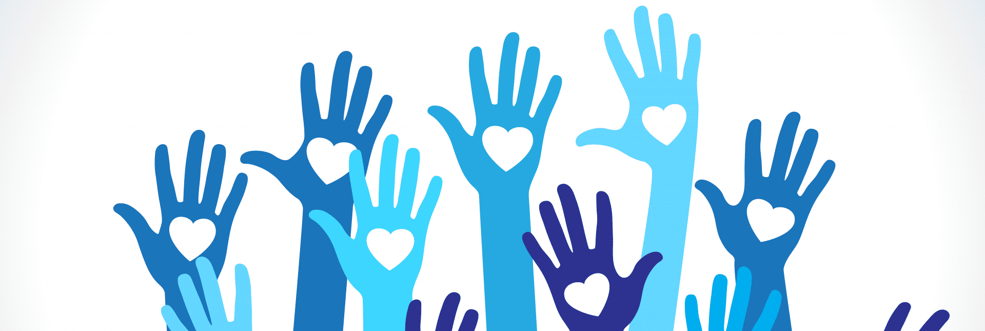 MDI Hospital: Volunteer