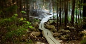 Acadia National Park walking trail