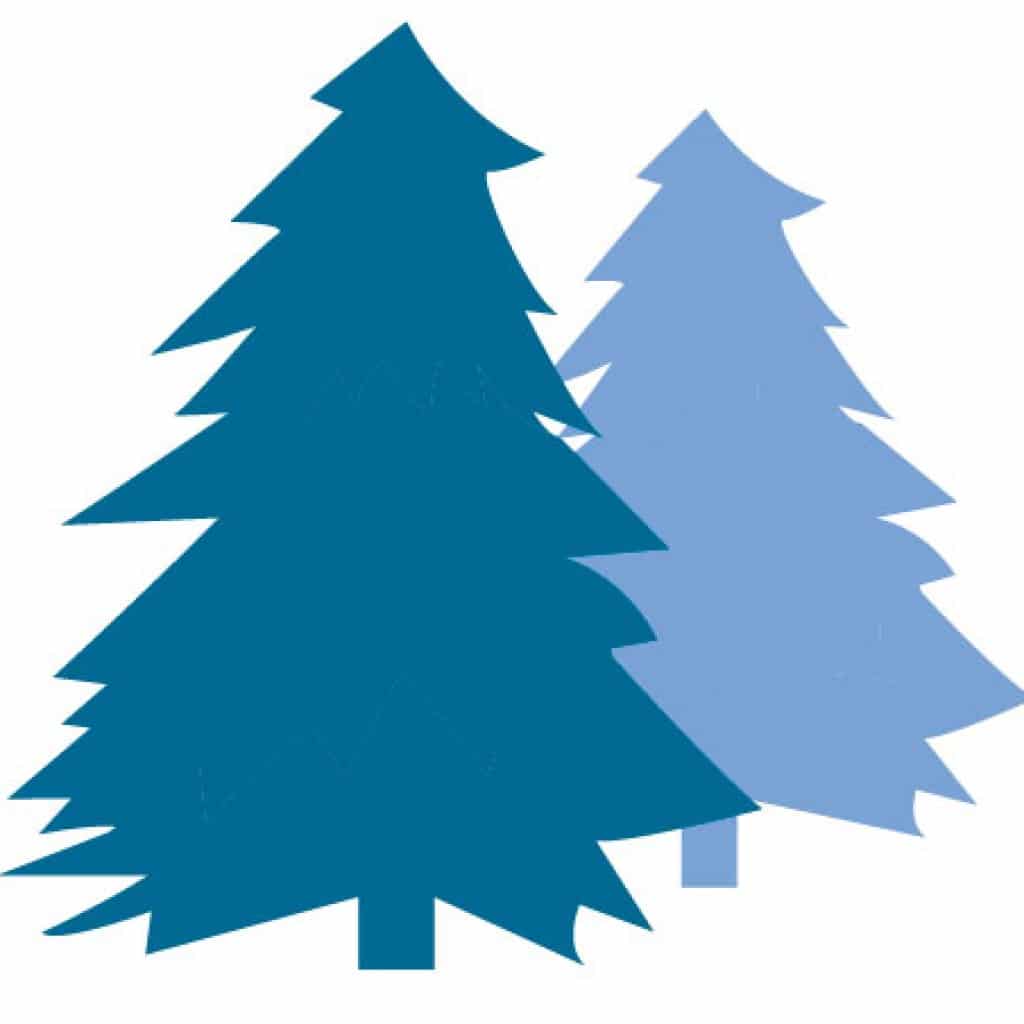 Providers Archives MDI Hospital