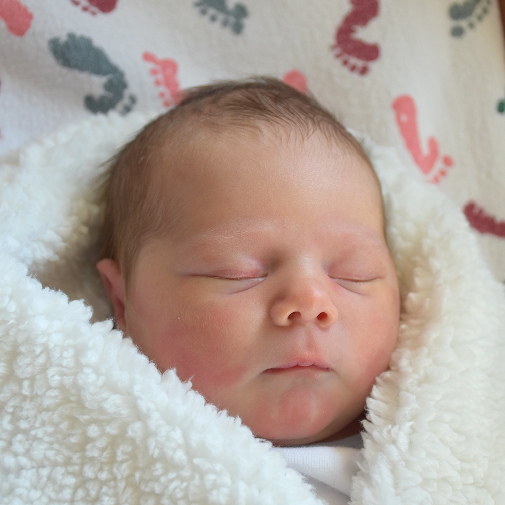 Baby Bellamy