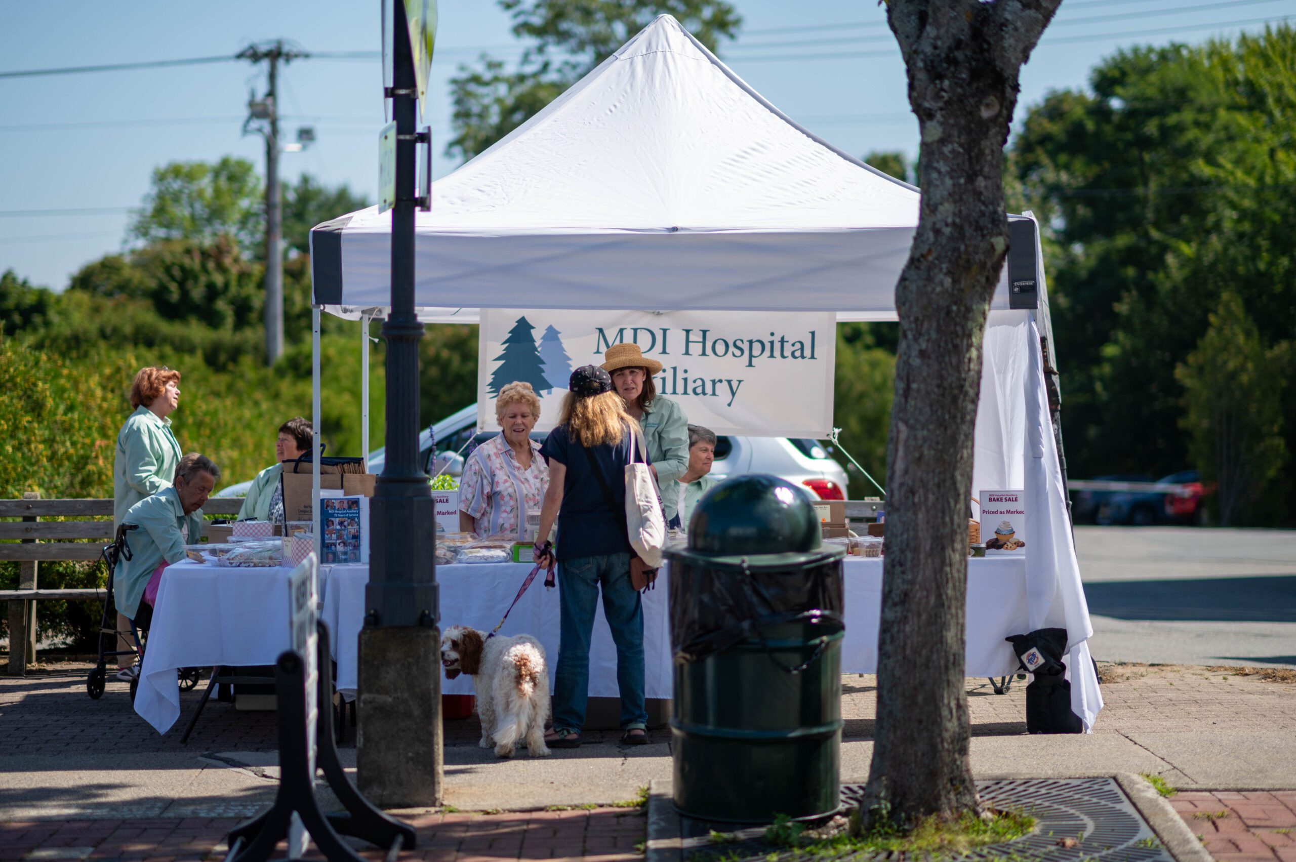 2023 Bar Harbor MDI Hospital Auxiliary Bake Sale MDI Hospital