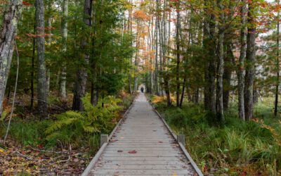 Behavioral Health Center Psychological First Aid Resources