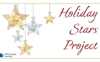 Holiday Stars Project 2023