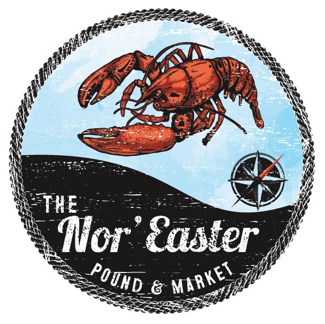 The Nor Easter logo-01 (1) jordan fernald logo