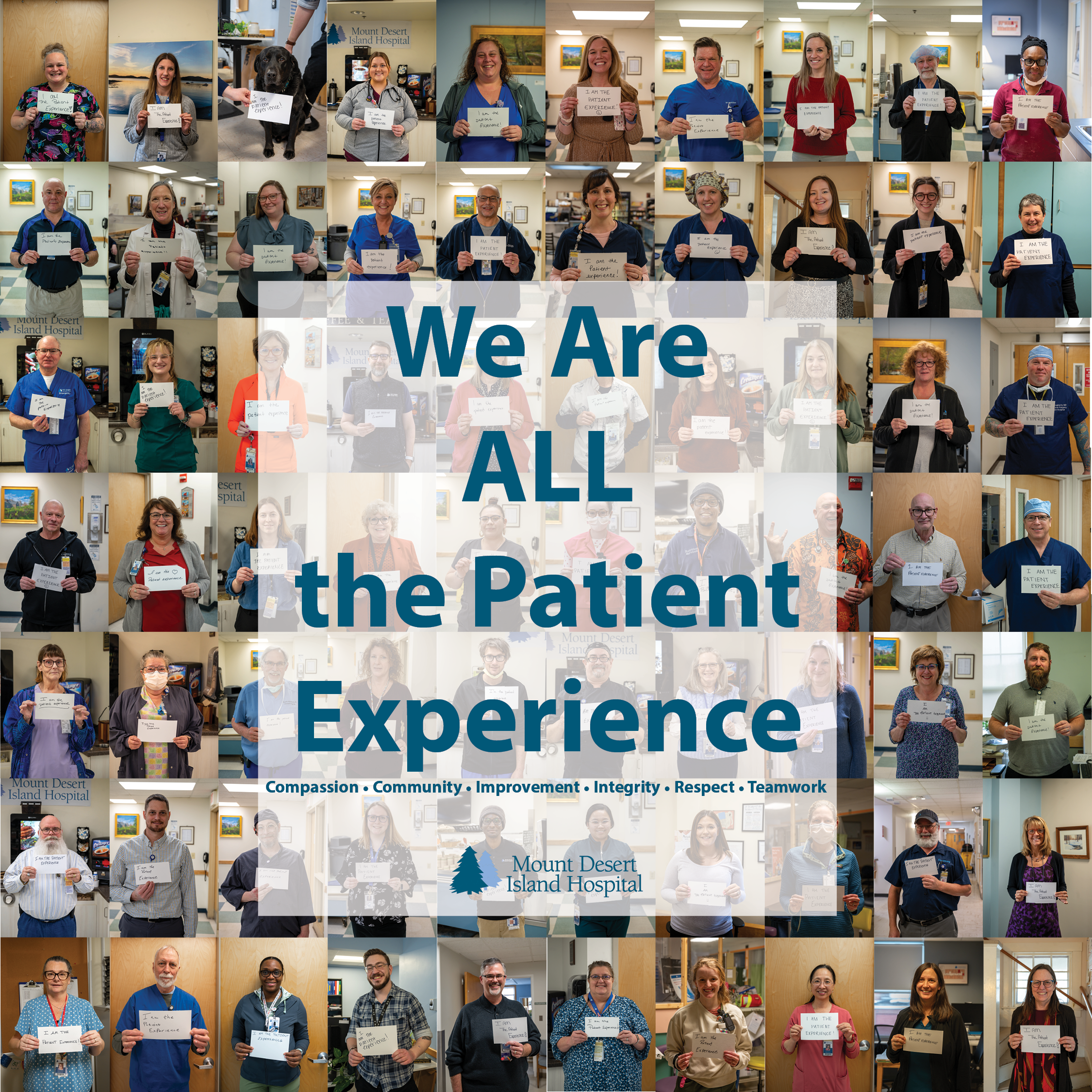 Patient Experience 1×1 Graphic