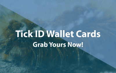 Download Your Tick ID Wallet Card!