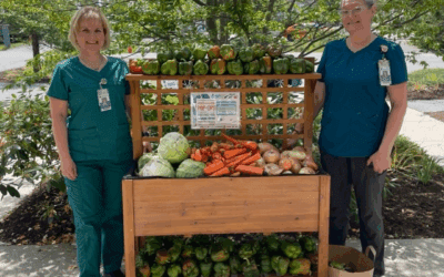 Kicking Off the Summer with Produce Pop-Ups